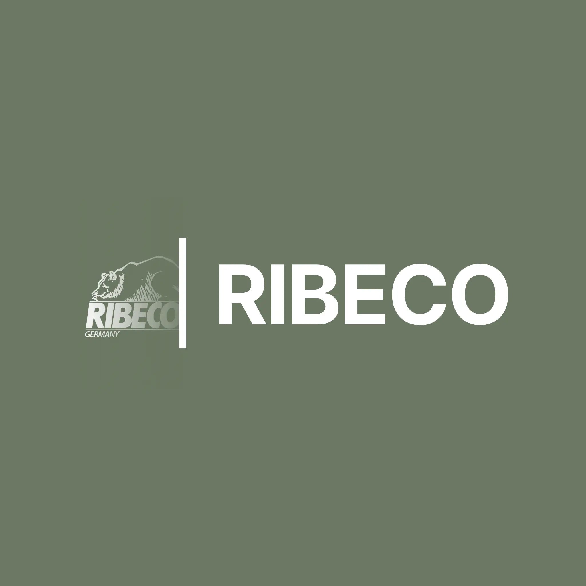 Logo mit der Aufschrift „RIBECO“ und Bärenmotiv auf grünem Hintergrund.
