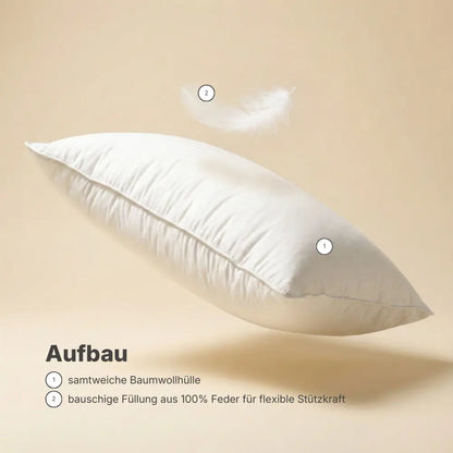 Infografik zum Aufbau des Essential Federkissens mit Beschriftungen zu Baumwollhülle und Federfüllung.