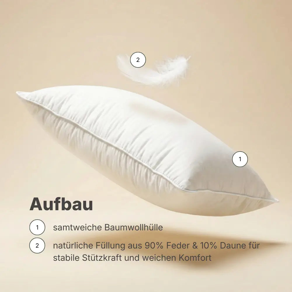 Infografik zum Aufbau des Premium Feder- und Daunenkissens mit Hinweisen auf Baumwollhülle und Daunen-Feder-Füllung.