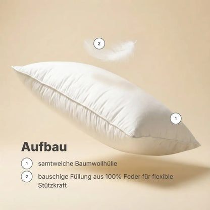Infografik zum Aufbau des Essential Federkissens mit Beschriftungen zu Baumwollhülle und Federfüllung.