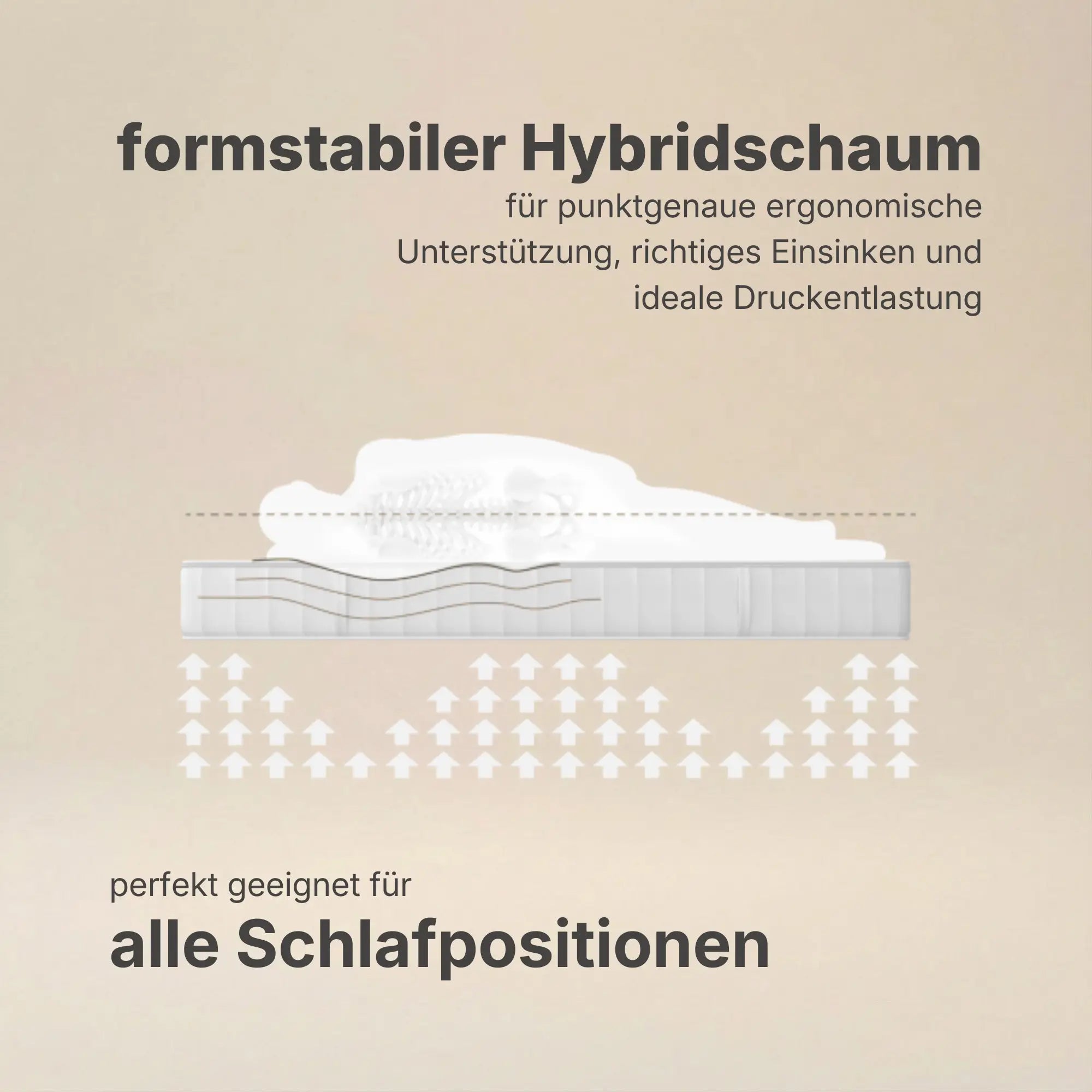 Grafische Darstellung der ergonomischen Druckentlastung durch formstabilen Hybridschaum der Hybridschaum Wendematratze 18 cm