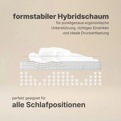 Grafische Darstellung der ergonomischen Druckentlastung durch formstabilen Hybridschaum der Hybridschaum Wendematratze 24 cm