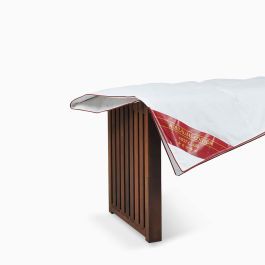 RIBECO Sommerdaunendecke Lotte